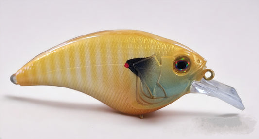 PALE YELLOW GILL