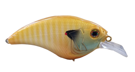 PALE YELLOW GILL