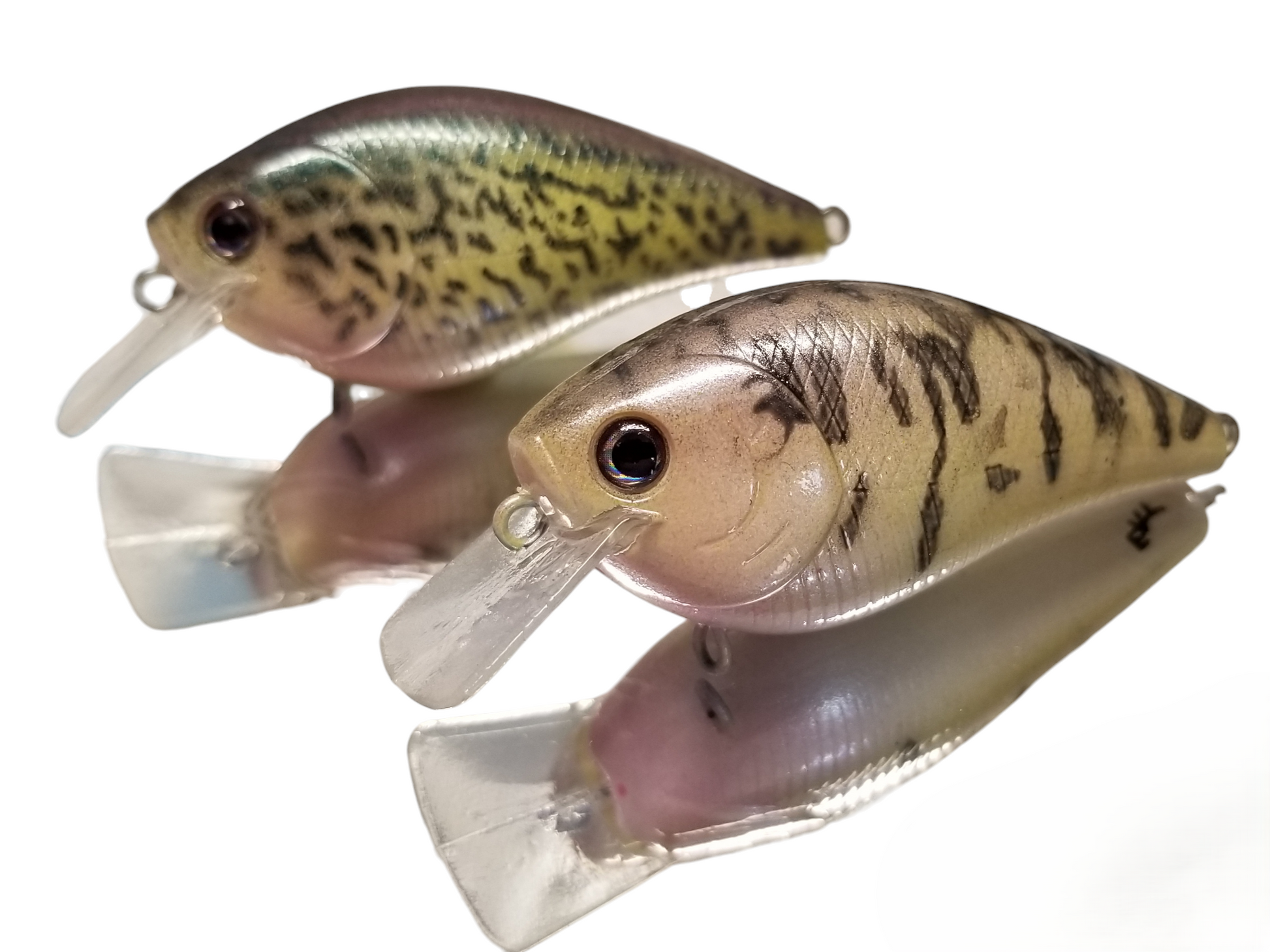 2024 WHITE CRAPPIE – EAT Custom Lures & Replicas 2024 WHITE CRAPPIE – EAT Custom Lures & Replicas