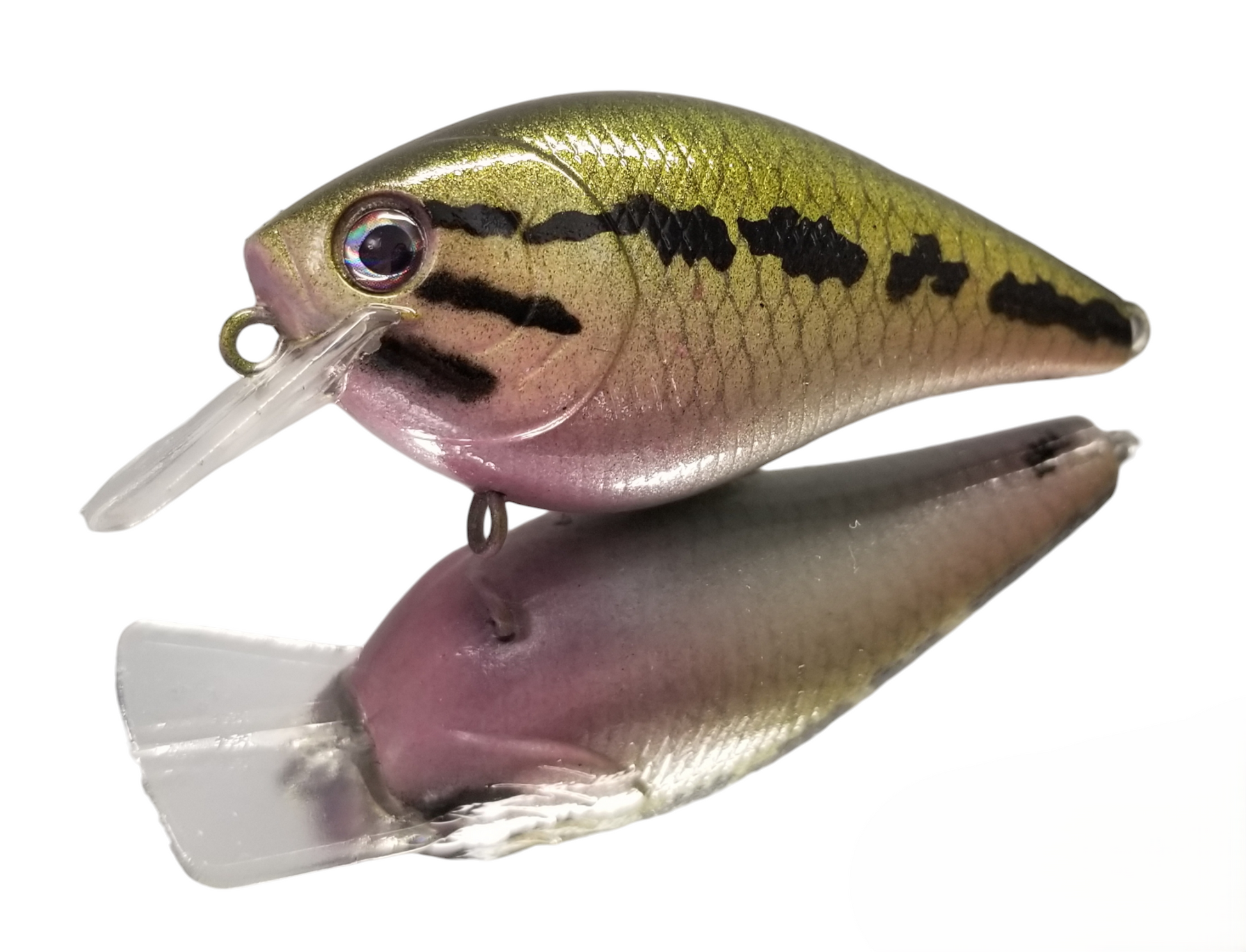 BABY BASS BABY BASS