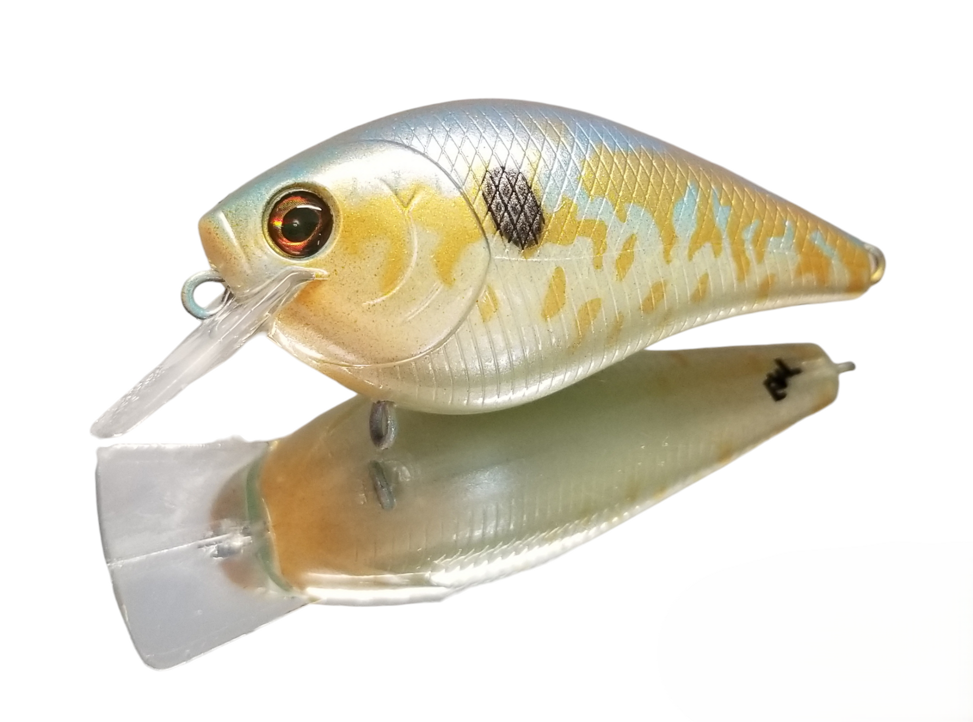 2024 SHIMMER SHAD – EAT Custom Lures & Replicas