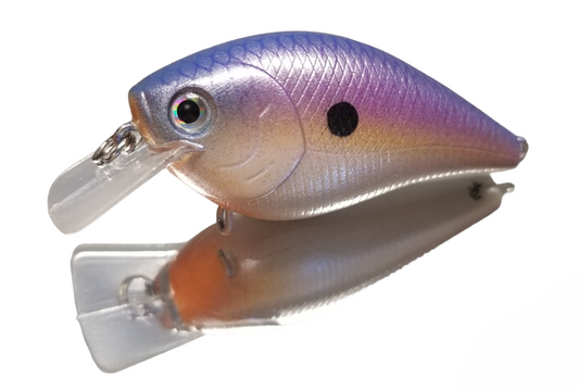 LAVENDER SHAD